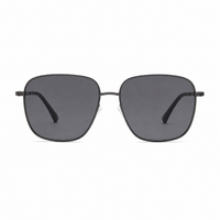 Gunmetal / Gray Lens