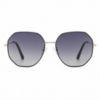 Black Silver / Gradient Gray Lens
