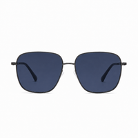 Silver / Dark Blue Lens